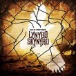 Lynyrd Skynyrd Last Dyin' Breed recenzja